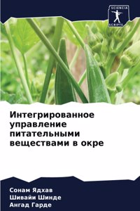 Интегрированное управление питательным&#