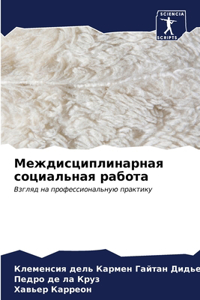 Междисциплинарная социальная работа