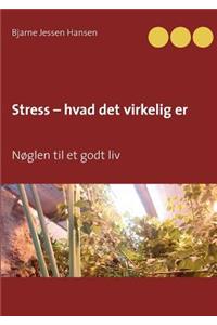 Stress - hvad det virkelig er