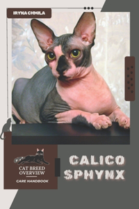 Calico Sphynx
