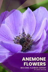 Anemone Flowers