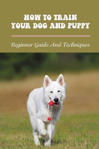 How To Train Your Dog And Puppy