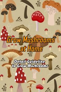 Grow Mushrooms at Home