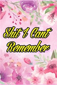 Shit I Can't Remember