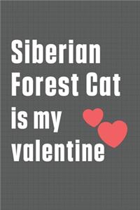 Siberian Forest Cat is my valentine