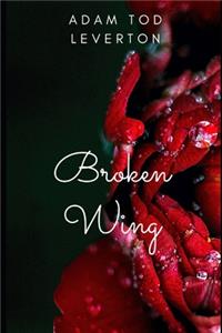 Broken Wing