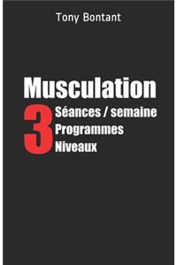 Musculation