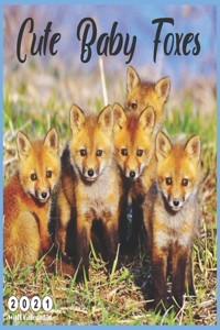Cute Baby Foxes 2021 Wall Calendar