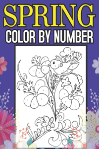 Spring Color By Number
