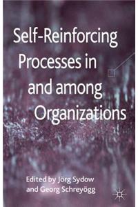 Self-Reinforcing Processes in and Among Organizations
