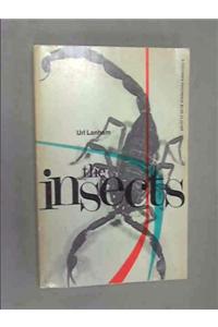 The Insects