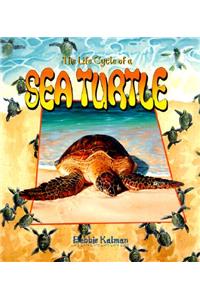 The Life Cycle of the Sea Turtle