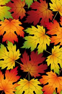 Colorful Autumn Leaves Falling Journal Notebook