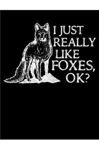 I Just Really Like Foxes OK?