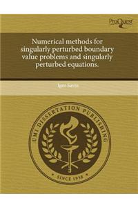 Numerical Methods for Singularly Perturbed Boundary Value Problems and Singularly Perturbed Equations