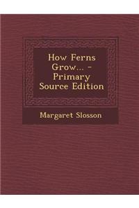 How Ferns Grow... - Primary Source Edition