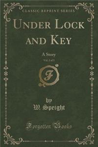 Under Lock and Key, Vol. 2 of 3: A Story (Classic Reprint)