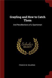Grayling and How to Catch Them