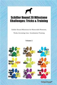 Schiller Hound 20 Milestone Challenges