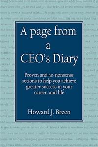 page from a CEO's Diary
