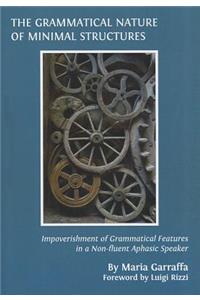 The Grammatical Nature of Minimal Structures