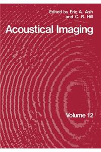 Acoustical Imaging