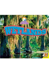 Wetlands