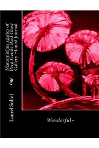Marasmiellus agarics of Peru Gentle Red Glow Gallery Lined Journal
