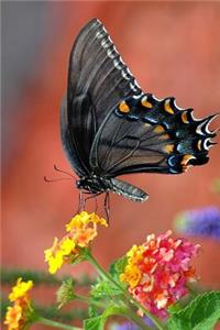 Black Swallowtail Butterfly Journal: 150 Page Lined Notebook/Diary