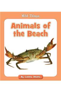 Animals of the Beach