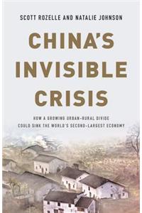 China's Invisible Crisis: How a Growing Urban-Rural Divide Could Sink the World's Second-Largest Economy