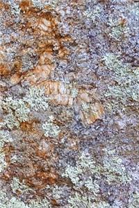 Stone Surface Journal