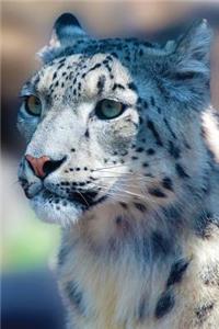 Snow Leopard Notebook