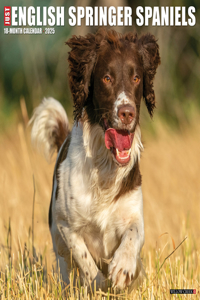 English Springer Spaniels 2026 12 X 12 Wall Calendar