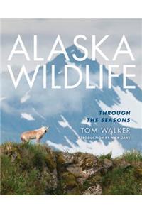Alaska Wildlife