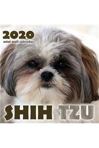 Shih Tzu 2020 Mini Wall Calendar