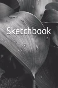 Sketchbook