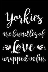 Yorkies are bundles of love wrapped in fur