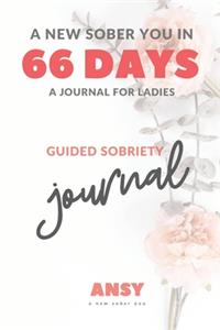 A New Sober You in 66 Days