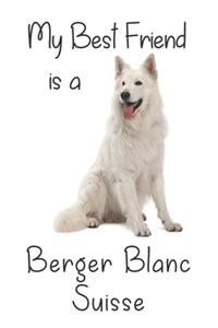 My best Friend is a Berger Blanc Suisse