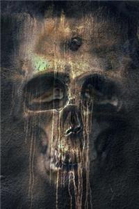 Melting Skull with Bullet Hole Journal