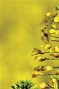 Brilliant Yellow Oilseed Rapeseed Journal