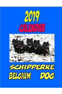 2019 Calendar Schipperke Belgium Dog