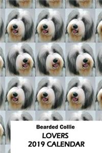Bearded Collie Lovers 2019 Calendar