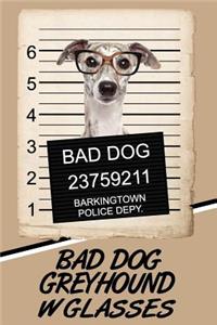 Bad Dog Greyhound W Glasses