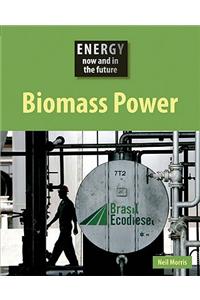 Biomass Power
