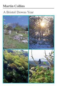 A Bristol Downs Year