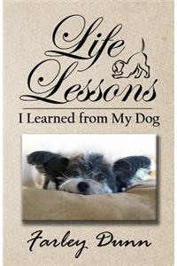 Life Lessons I Learned from My Dog