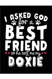 I Asked God For A Best Friend So He Sent Me My Doxie