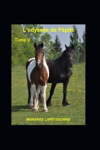L'Odyssée de Pépite Tome V